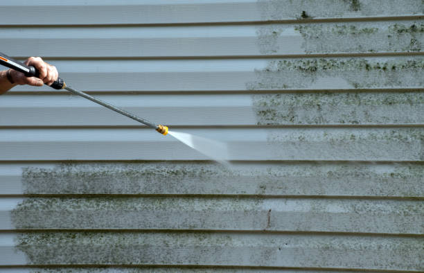 Professional Pressure Washing in Stevensville, MD